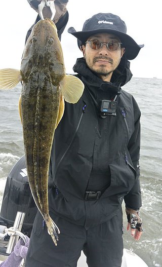マゴチ