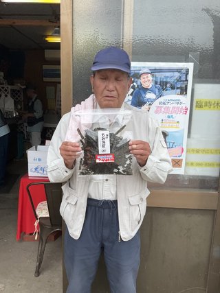 マダコ