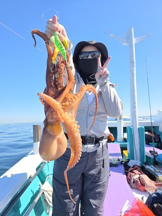 タコ