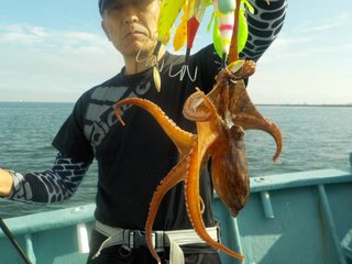 タコ