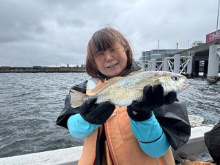 マアジ
