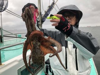 タコ