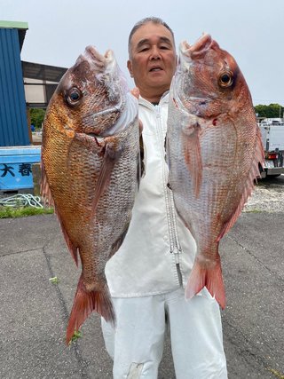 マダイ