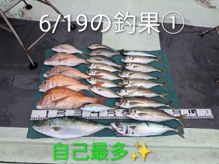 ハマチ
