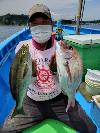 マダイ