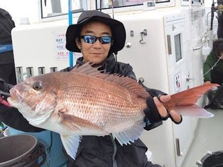 マダイ