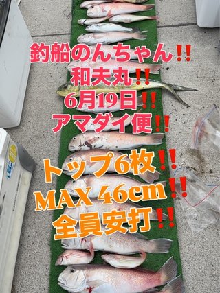 シロアマダイ