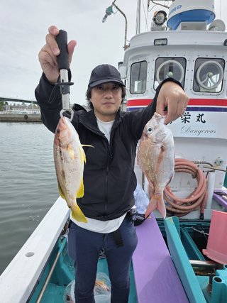 マダイ