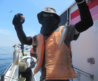 シロギス