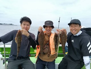 マゴチ