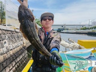 マゴチ