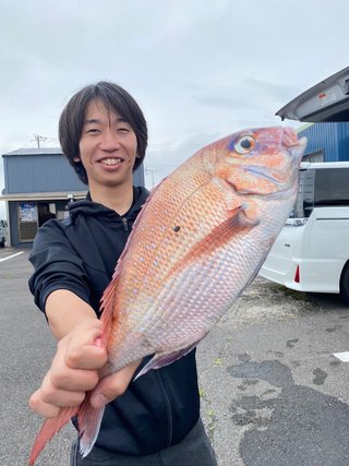 マダイ