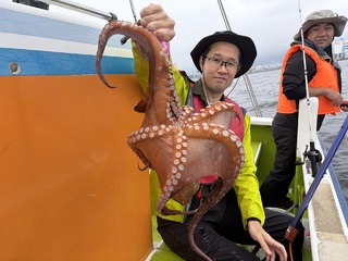 タコ