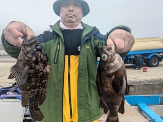 クロメバル