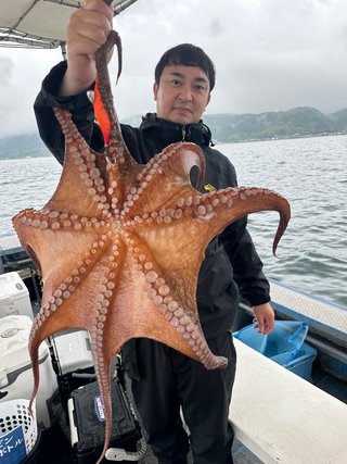 タコ