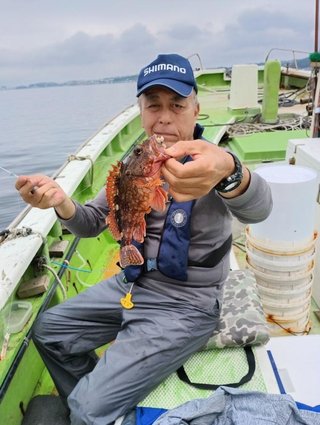 カサゴ