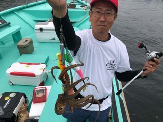タコ