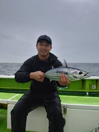 カツオ