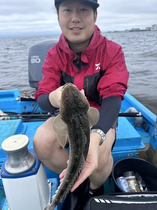 マゴチ