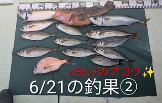 マサバ
