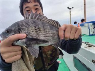 クロダイ