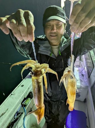 ムギイカ