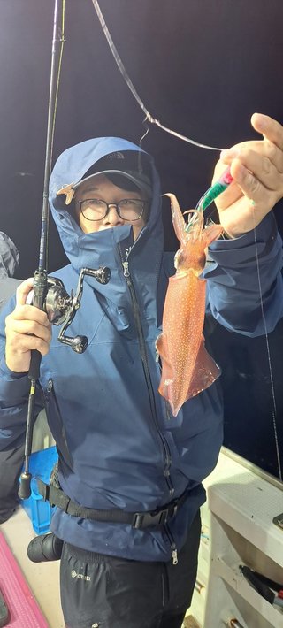 スルメ
