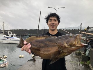 ホウキハタ