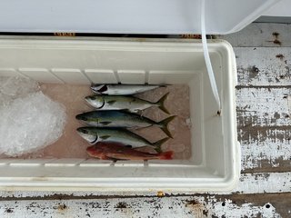 ワカシ