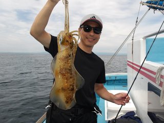 アオリイカ
