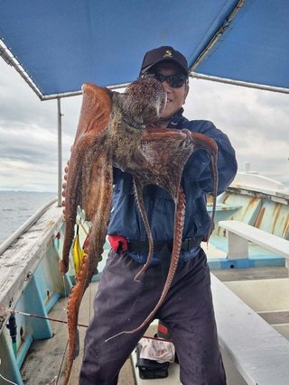 タコ
