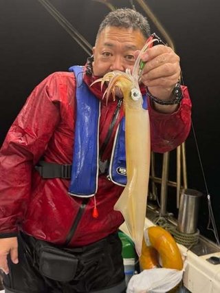 アカイカ