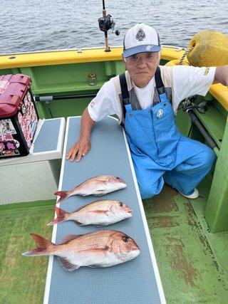 マダイ