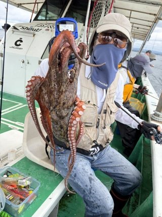 タコ
