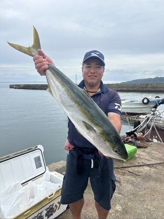 ブリ