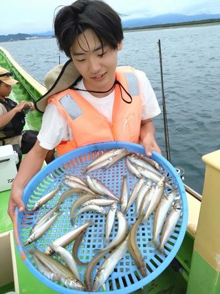 シロギス
