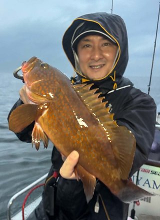 アコウ