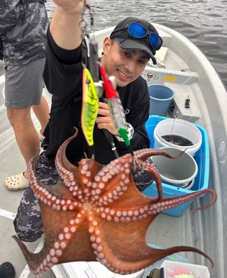 タコ