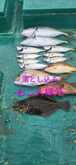 マダイ