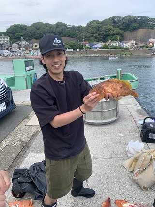 オオモンハタ