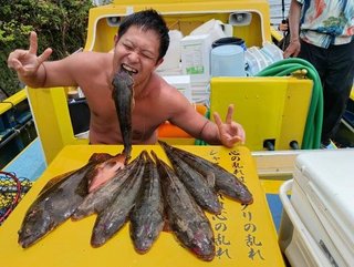 マゴチ