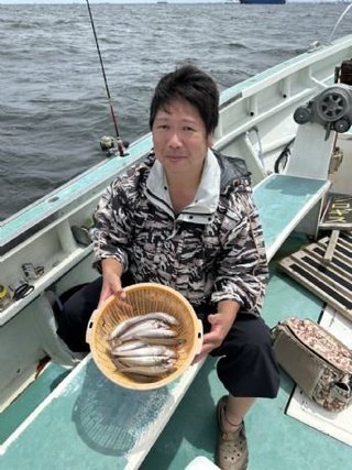 シロギス