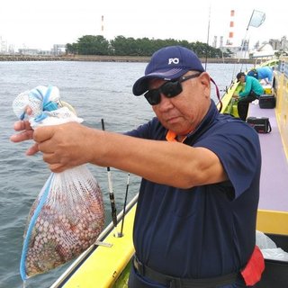 マダコ