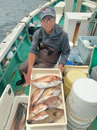 マダイ