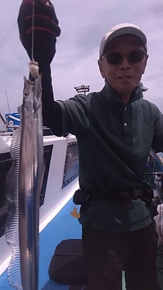 マダコ