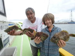 カワハギ