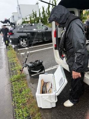 カンパチ