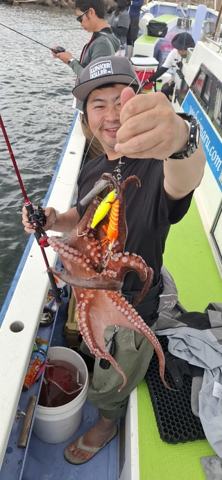 タコ