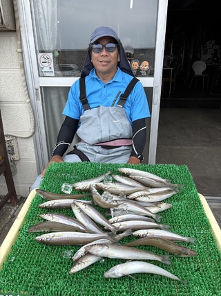シロギス