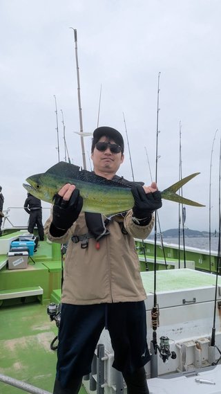 シイラ